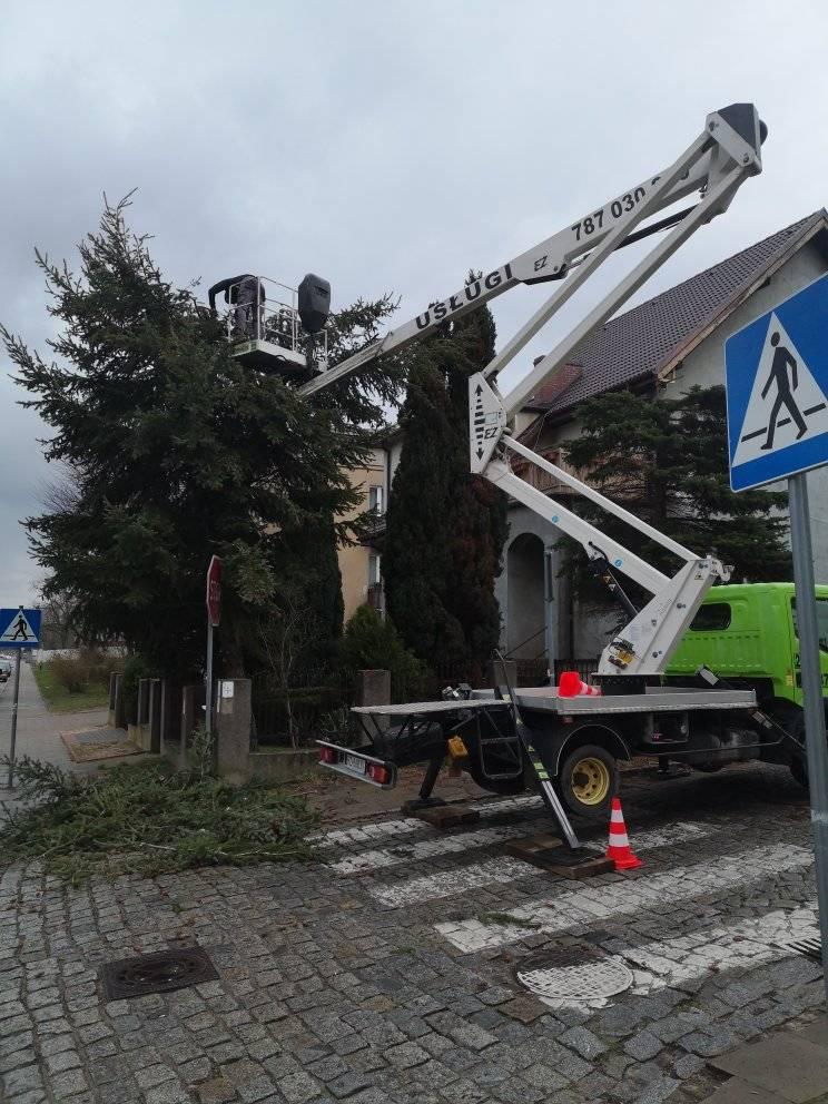Wycinka drzewa z podnośnika Szczecin