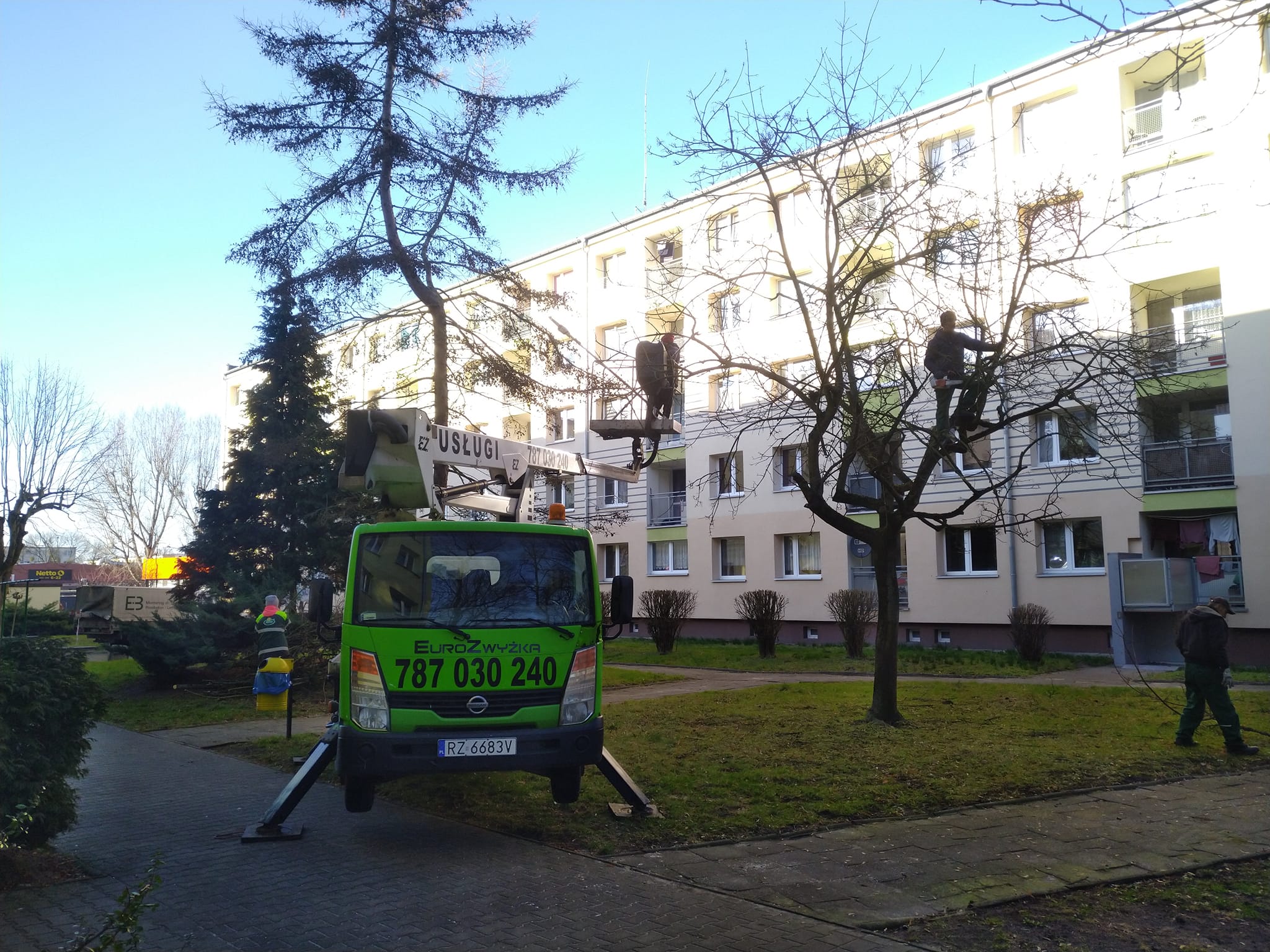 Ścinanie gałęzi z podnośnika