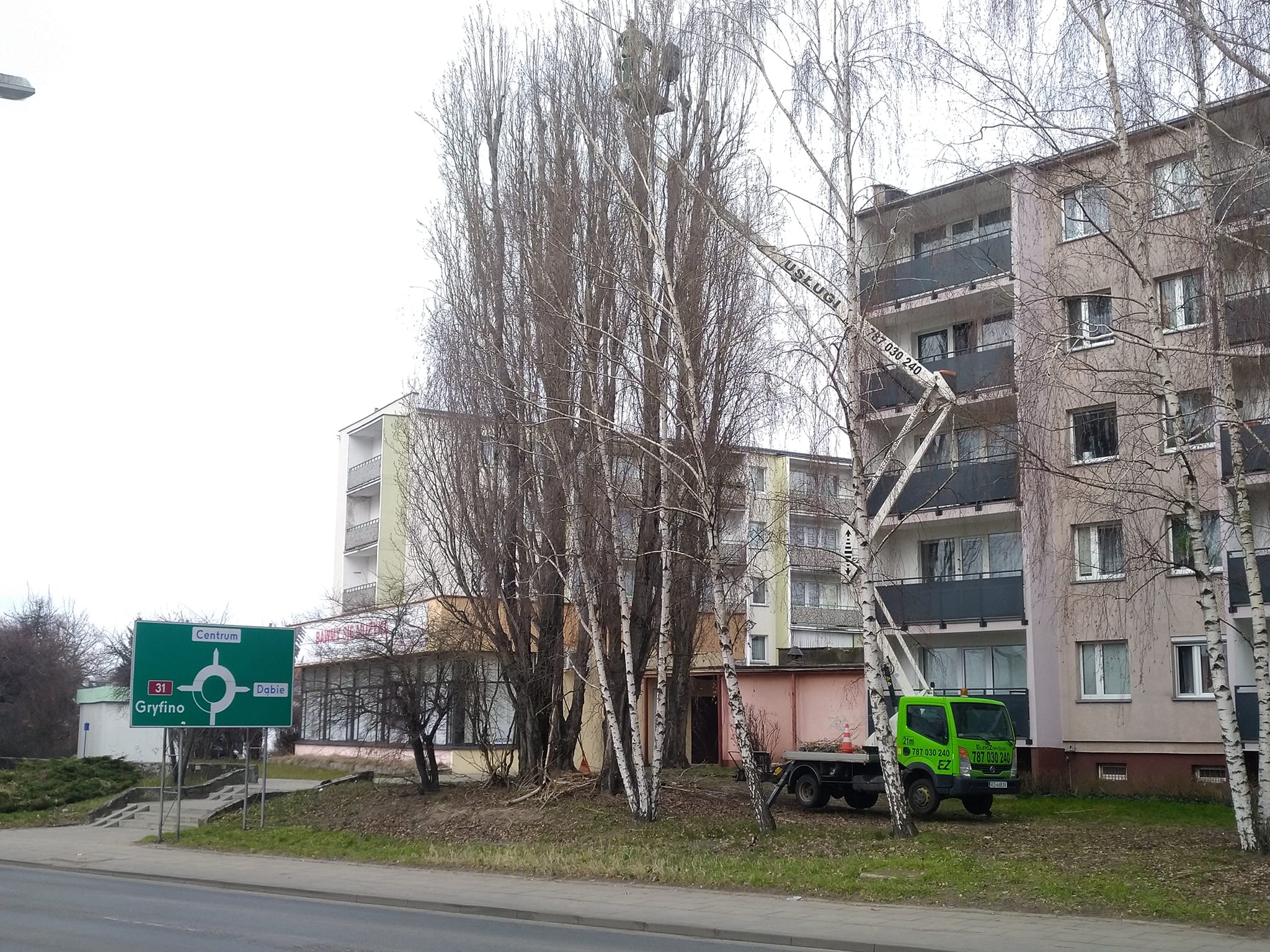 Wycinka i przycinka drzew z podnośnika Szczecin